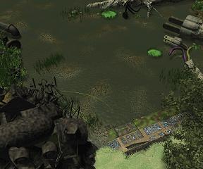 Geko Swamp