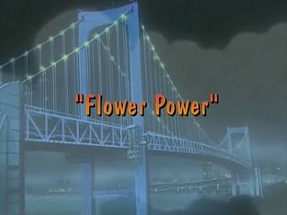 Flower Power)