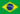 Brazilian Portuguese (Português do Brazil)